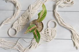 macrame 1aee2df5f-6e7e-44b5-940e-c2e04b8f4aa8.jpg